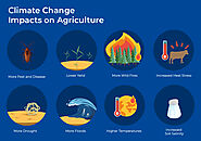 The challenges to protect and conserve B.thuringiensis in an ever-changing climate