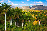 vinales in Cuba