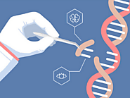 Ethical considerations in bioprospecting and genetic engineering of Nitrosomonas europaea