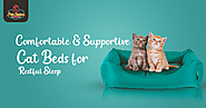 Website at https://petsstation.ae/comfortable-supportive-cat-beds-for-restful-sleep/