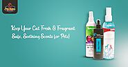 Keep Your Cat Fresh & Fragrant – Safe, Soothing Scents for Pets!
