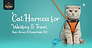 Cat Harness for Walking & Travel – Safe, Secure & Comfortable Fit! - Pets Station