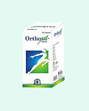 Herbal Supplements for Rheumatoid Arthritis, Orthoxil Capsules
