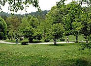 Guiyang Forest Park