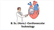 NIILM University Offers The Bsc Hons Cardiovascular Technology in Haryana | Get 100% Placement in Best Bsc University...