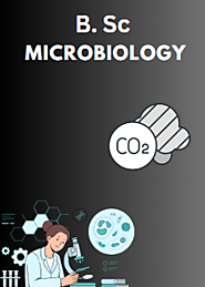 NIILM University Offers The Best B Sc Hons Microbiology Course in Haryana.