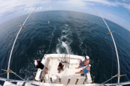 DEEP SEA CHARTER FISHING SARASOTA