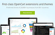 13 Essential OpenCart Extensions Your Store Must Have