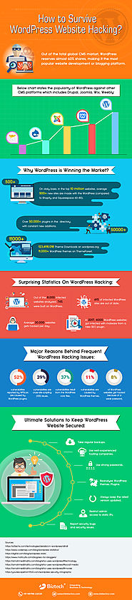 How to Survive WordPress Website Hacking? [Infographic]