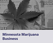 How to Open a Dispensary in Minnesota in 2024? | MinnesotaStateCannabis.org