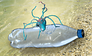 Ideonella sakaiensis