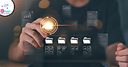Why Is Custom Database Software Essential for Businesses?
