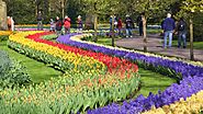 tours - Amsterdam Holland Tours