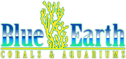 Ocean World Corals and Palm Beach Aquarium Service, Store