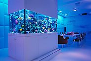 How do the Most Trusted Aquarium Suppliers give you Exquisitely Created Personalized Services to keep your Home looki...