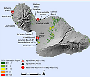 Challenges and conservation