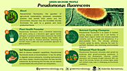 Role of Pseudomonas fluorescens in the environment