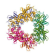 Biological Assembly