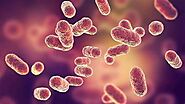 Why Azotobacter ?