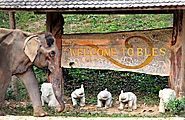 Boon Lots Elephant Sanctuary (BLES) – Sukhothai