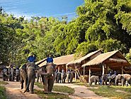 Golden Triangle Elephant Camp