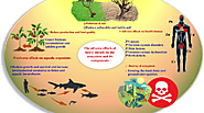 Bioremediation of Heavy Metals Using the Symbiosis Between Leguminous Plants and Genetically Engineered Rhizobia | Sp...