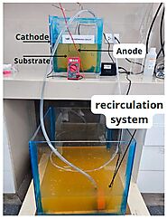 The Potential Use of Pseudomonas stutzeri as a Biocatalyst