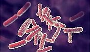 Bacterial Characteristics