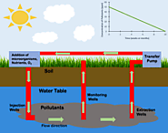 A Pseudomonas putida role in Role in biodegradation and bioremediation- PMC