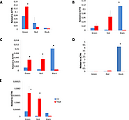 Application of Pseudomonas fluorescens to Blackberry under Field Conditions Improves Fruit Quality by Modifying Flavo...