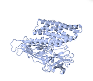 the structure and function of Cry proteins