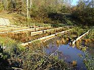 Environment where it is involved.