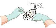 Microbe on a Mission