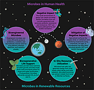Applications of Deinococcus radiodurans