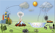 Ecological & Industrial Importance
