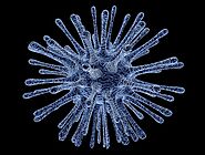 Psychrobacter