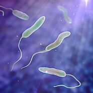 Environmentally significant Bacterium: Vibrio Cholerae
