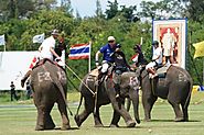 King's Cup Elephant Polo