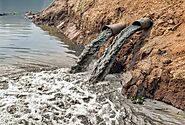 Picture showing the environment in which pseudomonas aeruginus are found