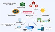 Diagram illustrating ecological importance