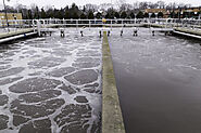 Figure 2: Role of Nitrosomonas europaea in Ammonia Wastewater Treatment.