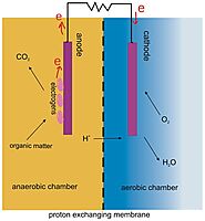 New Strategy for Sustainable Management of Soil-Based Ecosystems