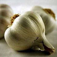 Garlic 3 Bulbs Per Pack - Plants Galore Online