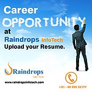 Raindrops Info Tech - Careers