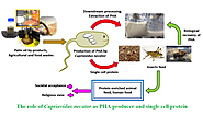 Role of _C. necator_