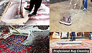 Benefits of Professional Rug Cleaning – Oriental Designer Rugs