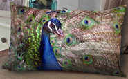 Fablegent Elegant Decorative Throw Pillow Cover - Rectangular Peacock Fashion Design on Both Sides - Soft Velvet Fabr...