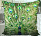 Fablegent XH106 - Elegant Decorative Throw Pillow Cover - Peacock Feather Fashion Design on Both Sides - Soft Velvet ...