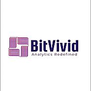 Bitvivid Solutions Pvt. Ltd.