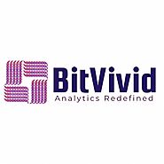 Bitvivid Solutions Pvt. Ltd.